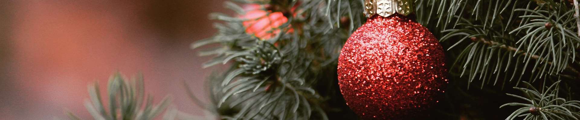 Accensione dell’Albero di Natale